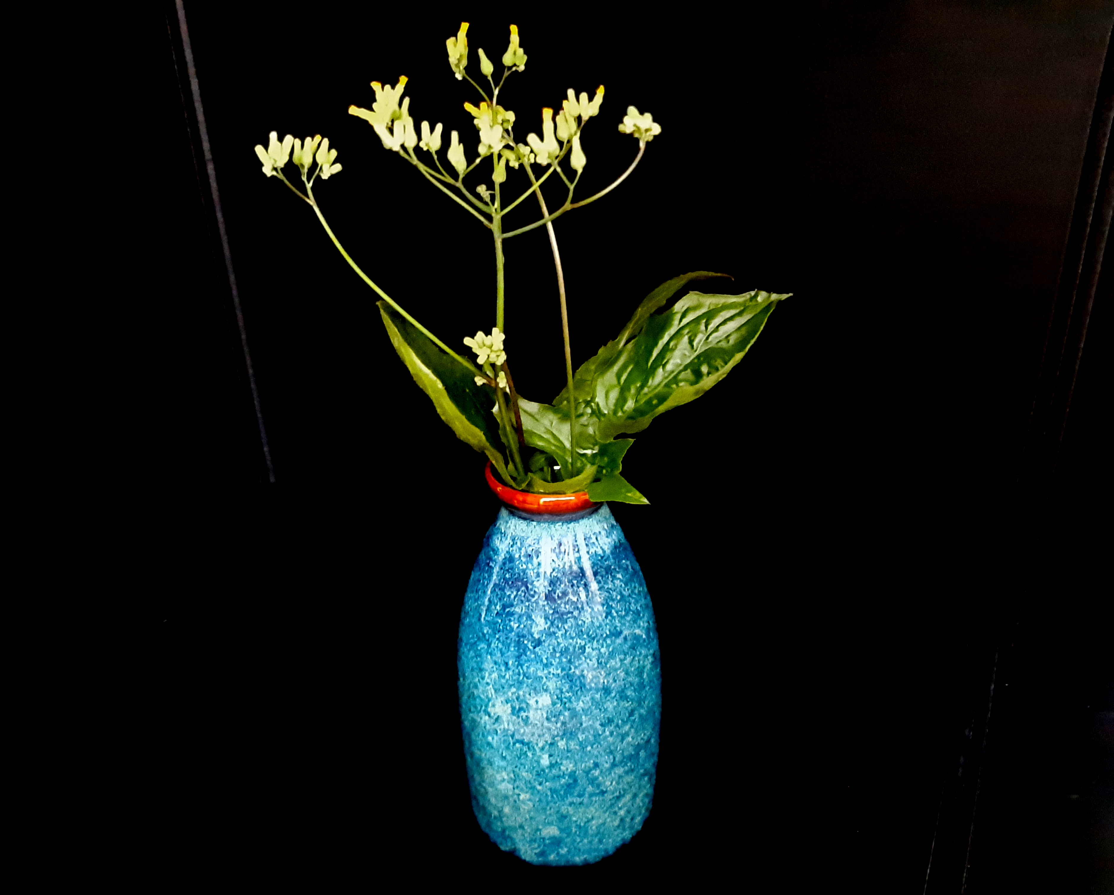 Blue mini vase - bình trang trí tuyệt đẹp cho mọi nhà