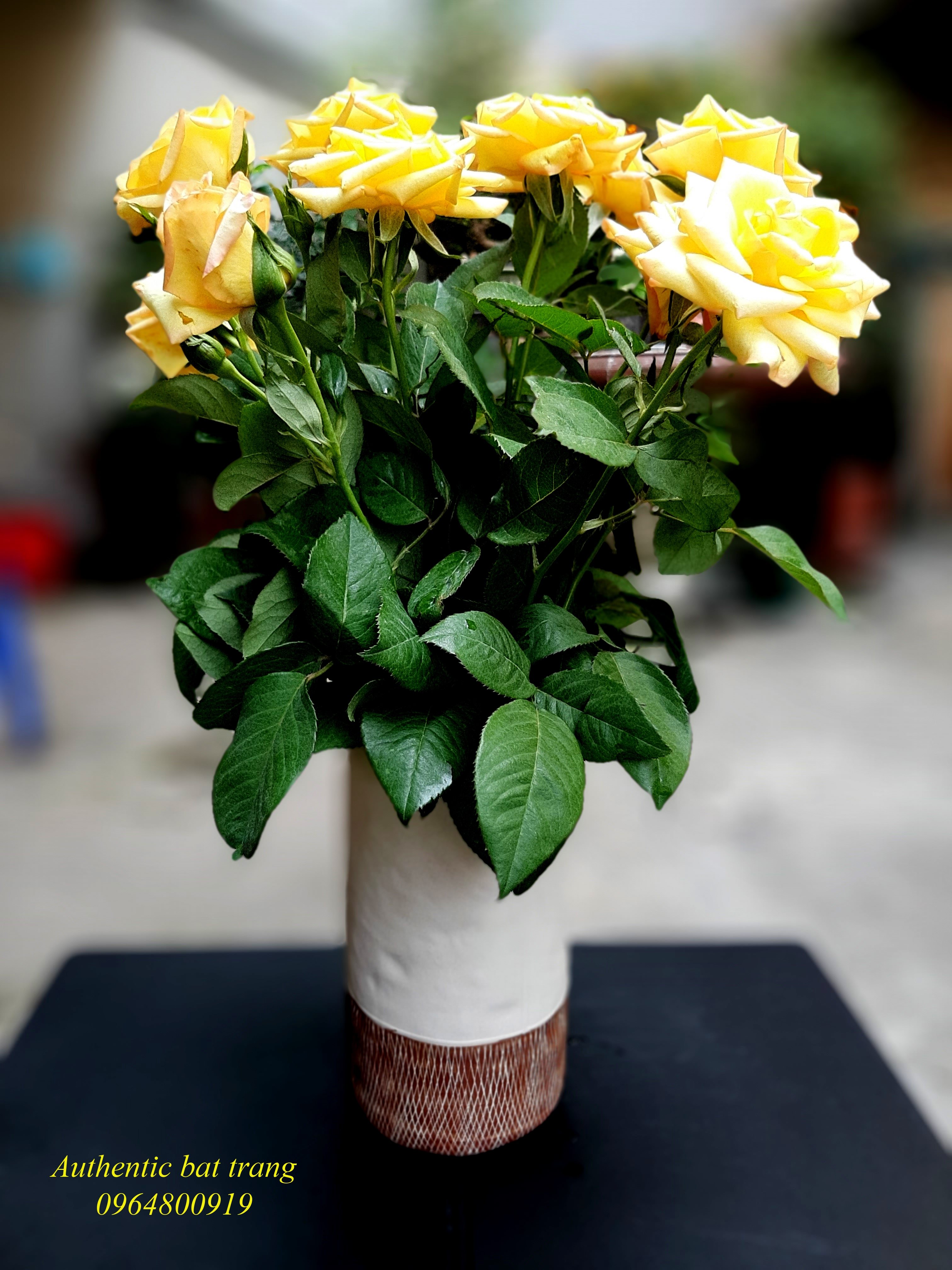 Ceramics vase/ bình cắm hoa xuất âu sản phẩm trang trí nhà cửa đẹp, sang trọng sản xuất tại bát tràng, việt nam